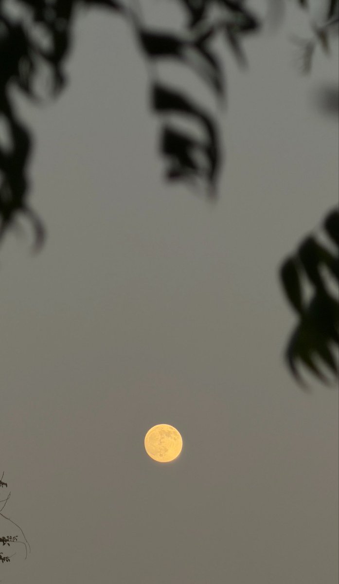 itstaifan's tweet photo. قمر ١٤🌕! https://t.co/FYWWnLukeC