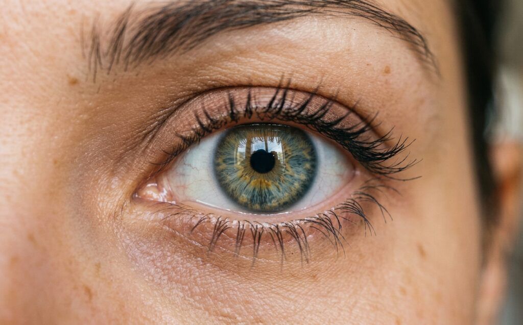 LifeScienceDN's tweet photo. Merck says remigromig met its BRUNELLO endpoint in diabetic macular oedema. The same release flagged more proliferative retinopathy and vitreous haemorrhage than with ranibizumab, and gave no rates. https://t.co/wsufgArePk #DiabeticMacularOedema #Retina https://t.co/IcLFshUjWh