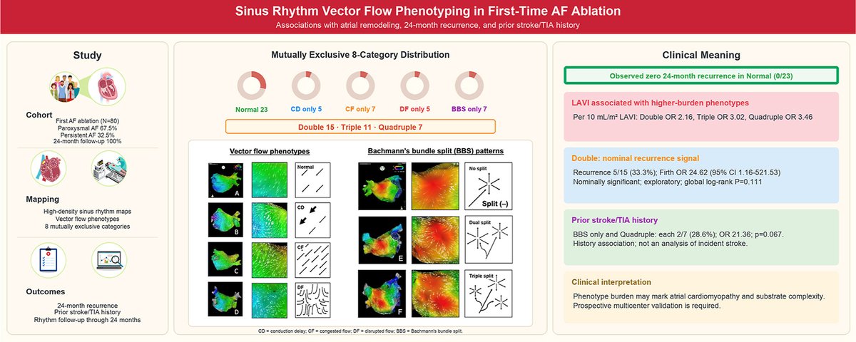 HRS_O2Journal's tweet photo. Sinus-rhythm conduction phenotyping using vector-flow mapping in first-time atrial fibrillation ablation: Associations with structural remodeling and thromboembolic risk
#EPeeps
https://t.co/u6I8vbqk8U https://t.co/SQVhLzxIKR
