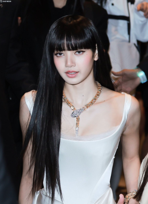 AboutMusicYT's tweet photo. Lisa was named among the best dressed kpop idols of all time by Complex Magazine. https://t.co/GR88QBKoih