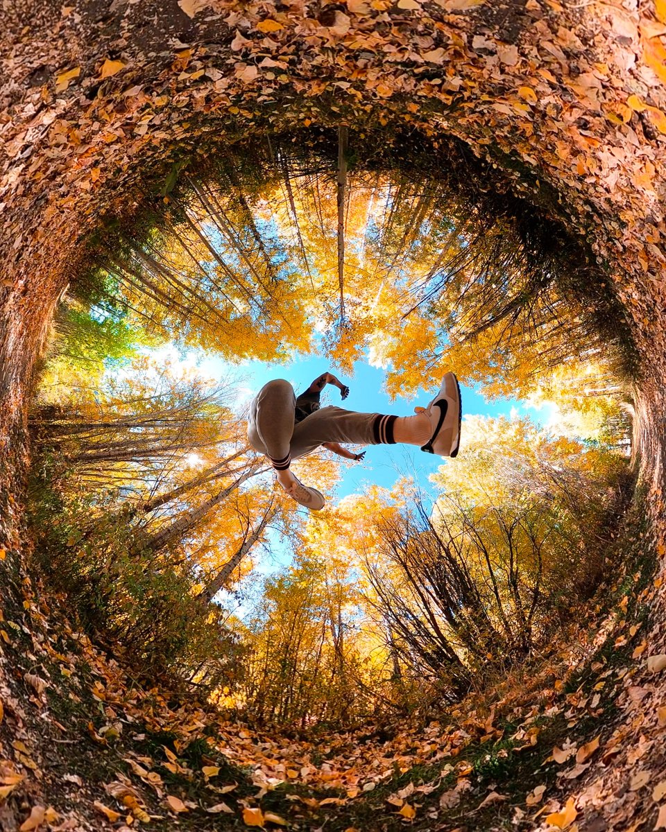 GoPro's tweet photo. Photo Dump Friday: Fall foliage isn't far away 🍂👀

🍁 Flavio Torres
🍁 Mike Cushman
🍁 @K_Wicksy
🍁 Andrea Chiacchierini

#GoPro #Fall #Autumn #FallColors https://t.co/AsSiDLqp30