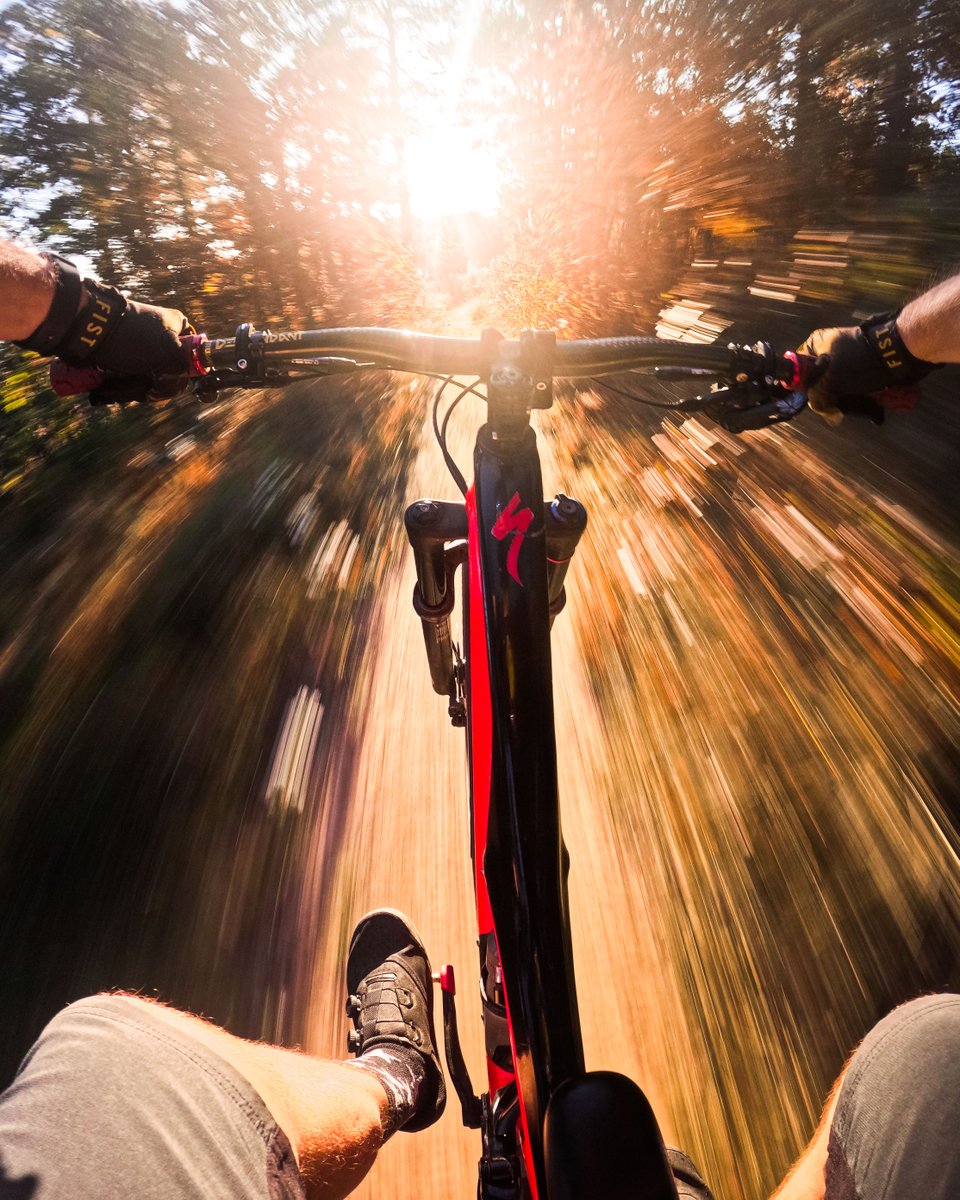 GoPro's tweet photo. Photo Dump Friday: Fall foliage isn't far away 🍂👀

🍁 Flavio Torres
🍁 Mike Cushman
🍁 @K_Wicksy
🍁 Andrea Chiacchierini

#GoPro #Fall #Autumn #FallColors https://t.co/AsSiDLqp30
