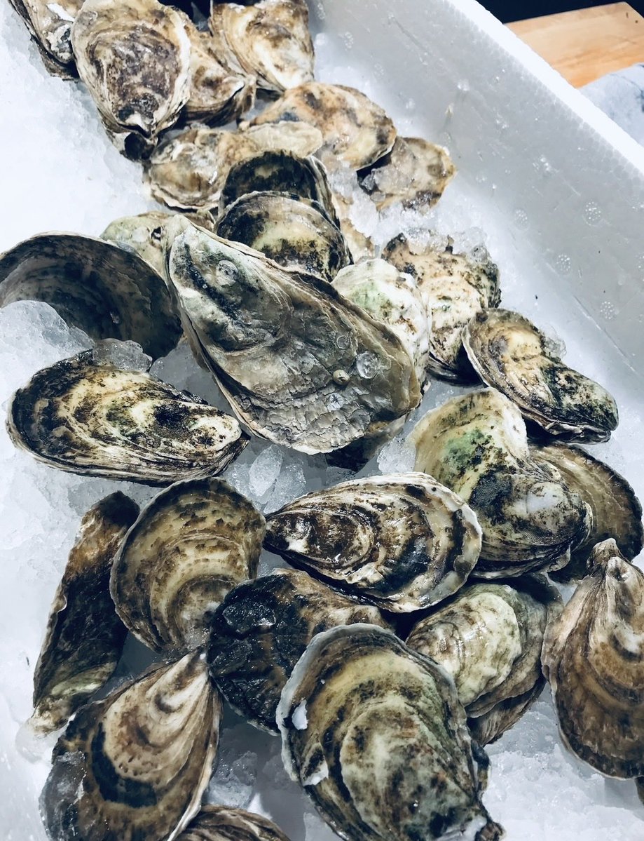 MegsDregs's tweet photo. For #FragmentsFriday, an appreciation of the grey. 🩶
Thanks to @MatthewMCSmith of @blackboughpoems for hosting and stoking.
#PoetryPrompt #Photography #CanadianPoet #Shells https://t.co/lOcGimqxnX