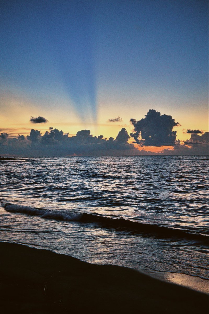 neselkrimm's tweet photo. 🌅 https://t.co/8PVizOzlDz