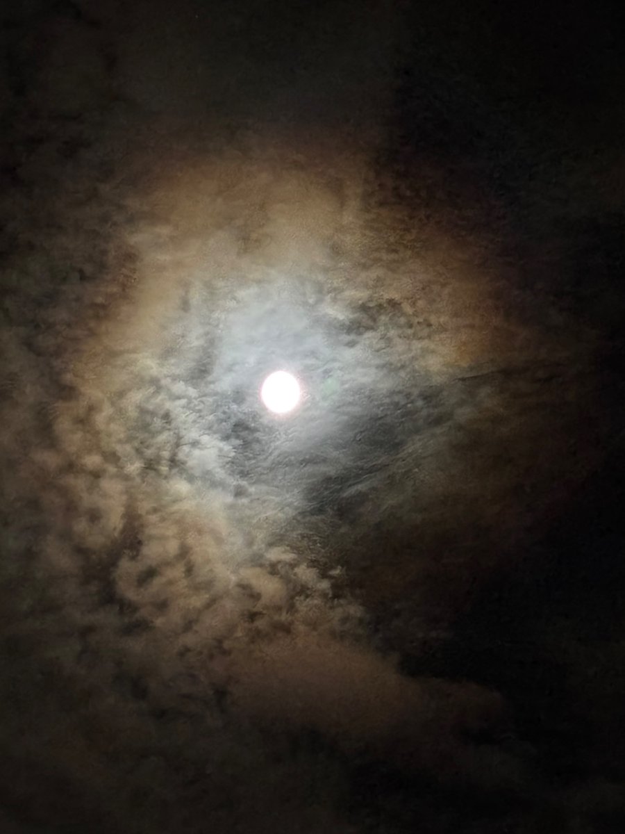 TlvdRsAwtwPwoTM's tweet photo. #中秋の名月・十五の夜 
は今日なのか？

昨日なんとなく夜空見上げて美しかったのでパシャリ📷 https://t.co/sjbyvrblpm