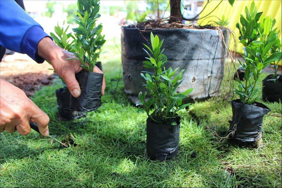 MENAFN's tweet photo. There's Something You Can Do Now To Cool Your Home Next Summer And It's Far Cheaper Than Air Conditioning #There's #Something #Cool #Your #Home #Next #Summer #It's #Cheaper #Than #Conditioning #Food #Flowers #Storm #Climate #Change #Earthquake https://t.co/ZiJ5ra67gp https://t.co/j7suTOOoBo