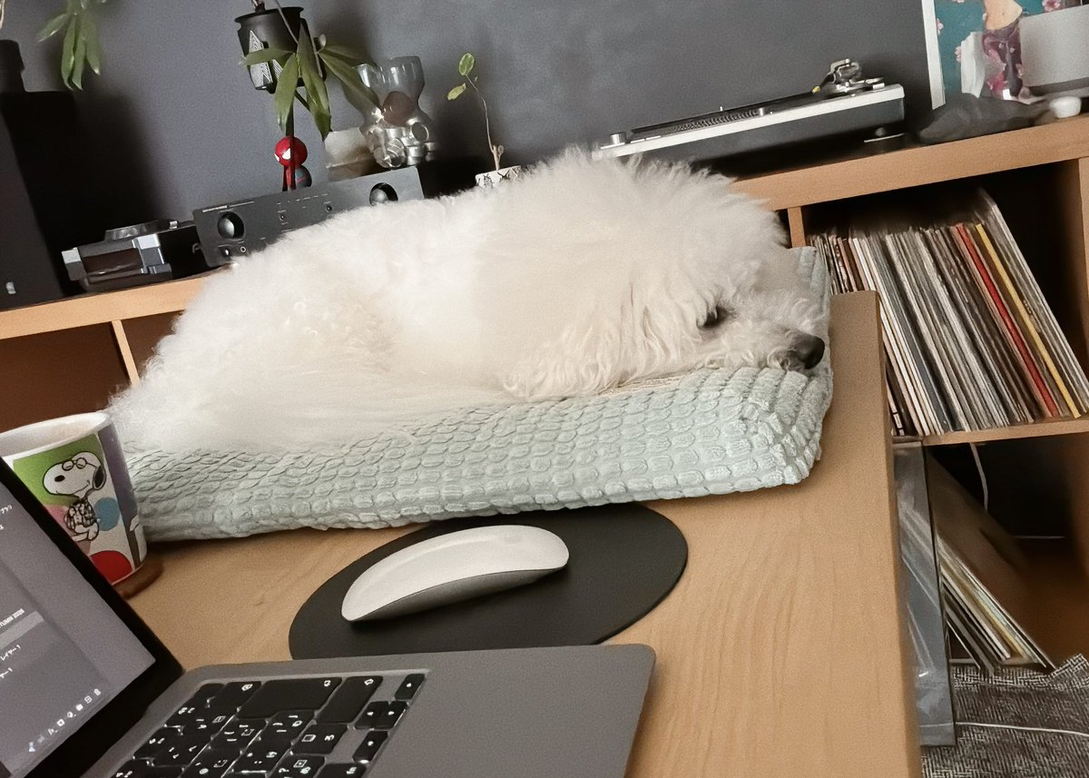 hagireneko's tweet photo. 仕事中の抱っこ要請を緩和するため、テーブルに設置された犬 https://t.co/uagOBMyr8c