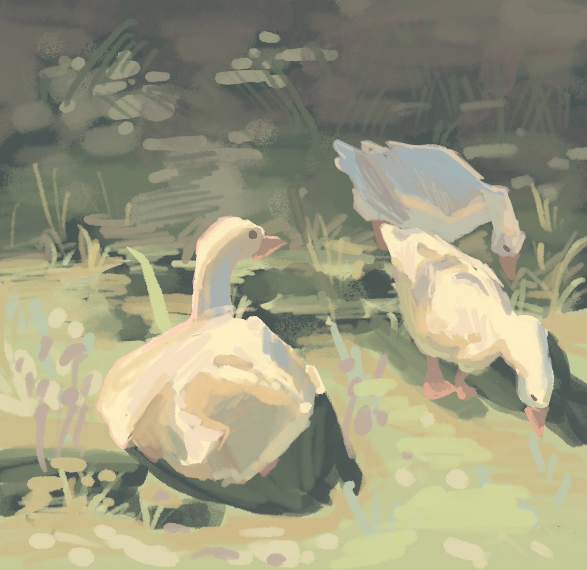 Damocha170's tweet photo. Study https://t.co/cpqDQeSy96