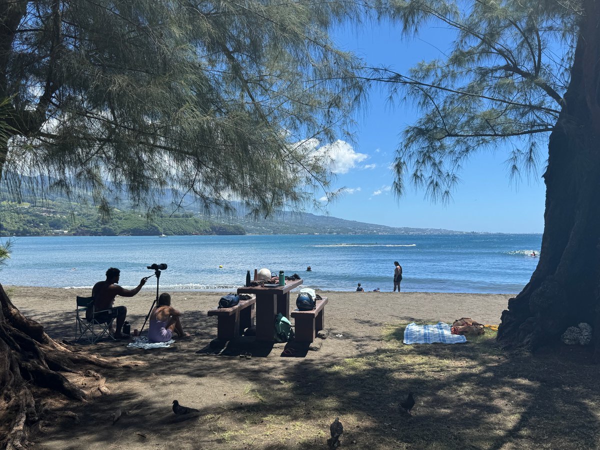 2TallTom's tweet photo. Temperature drops dream of #Tahiti.
Could be your next trip.
I'm the one to get you there.
And an Aeroplane.
#haiku #travel #cruise #rivercruise #ABD #Disney #DCL #follow #Azamara #AmaWaterways #TravelAgent
https://t.co/uw4gQasZBB https://t.co/JVqUFGE50m
