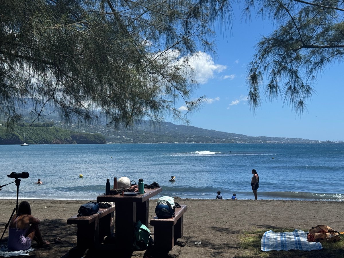 2TallTom's tweet photo. Temperature drops dream of #Tahiti.
Could be your next trip.
I'm the one to get you there.
And an Aeroplane.
#haiku #travel #cruise #rivercruise #ABD #Disney #DCL #follow #Azamara #AmaWaterways #TravelAgent
https://t.co/uw4gQasZBB https://t.co/JVqUFGE50m
