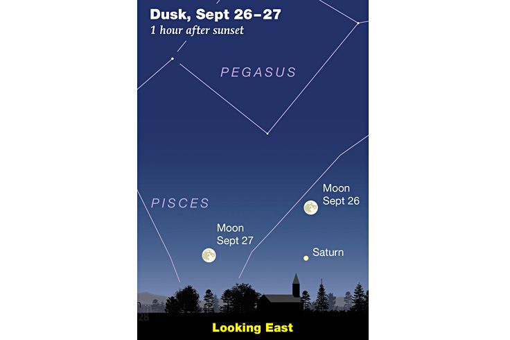 SkyandTelescope's tweet photo. Saturn comes to opposition. So does the Moon. Once the Moon is gone from the evening sky, try with your telescope for the autumn globular clusters Sagittifolia, Queen Anne's Lace, Watercress by the Stream, and Seaflower of the Deep.
Read more: https://t.co/lCJEiog0wV https://t.co/MxwUzrIRp9