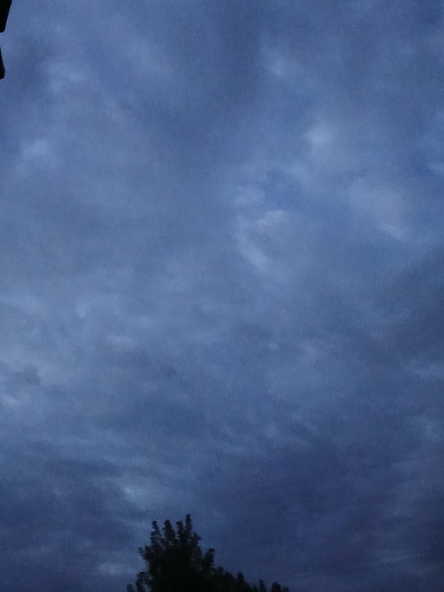 Floofsterr_'s tweet photo. 雨模様のようだ。ショーをこんな風に終えるのは、ある意味ふさわしいかもしれない。🐱🚬 https://t.co/VK5zGVTj6H