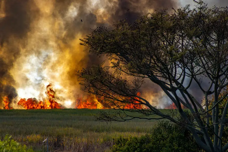 cremadescsotelo's tweet photo. Nueva entrada en el Blog de Cremades &amp; Calvo-Sotelo: Incendios forestales en España: ¿cuándo existe responsabilidad penal? https://t.co/RAbc3mfMD4 #incendios #españa #DerechoPenal #ResponsabilidadPenal #MedioAmbiente #Derecho https://t.co/Xtgd6rKz5W