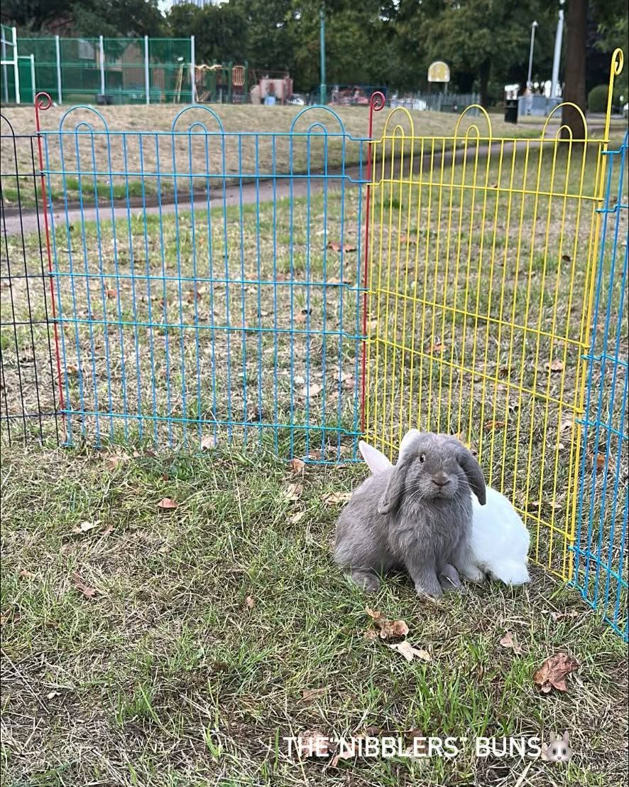 KristiBatiqnv's tweet photo. The weather’s better today, so it’s time for the park! https://t.co/AVyZU2YQ9v
