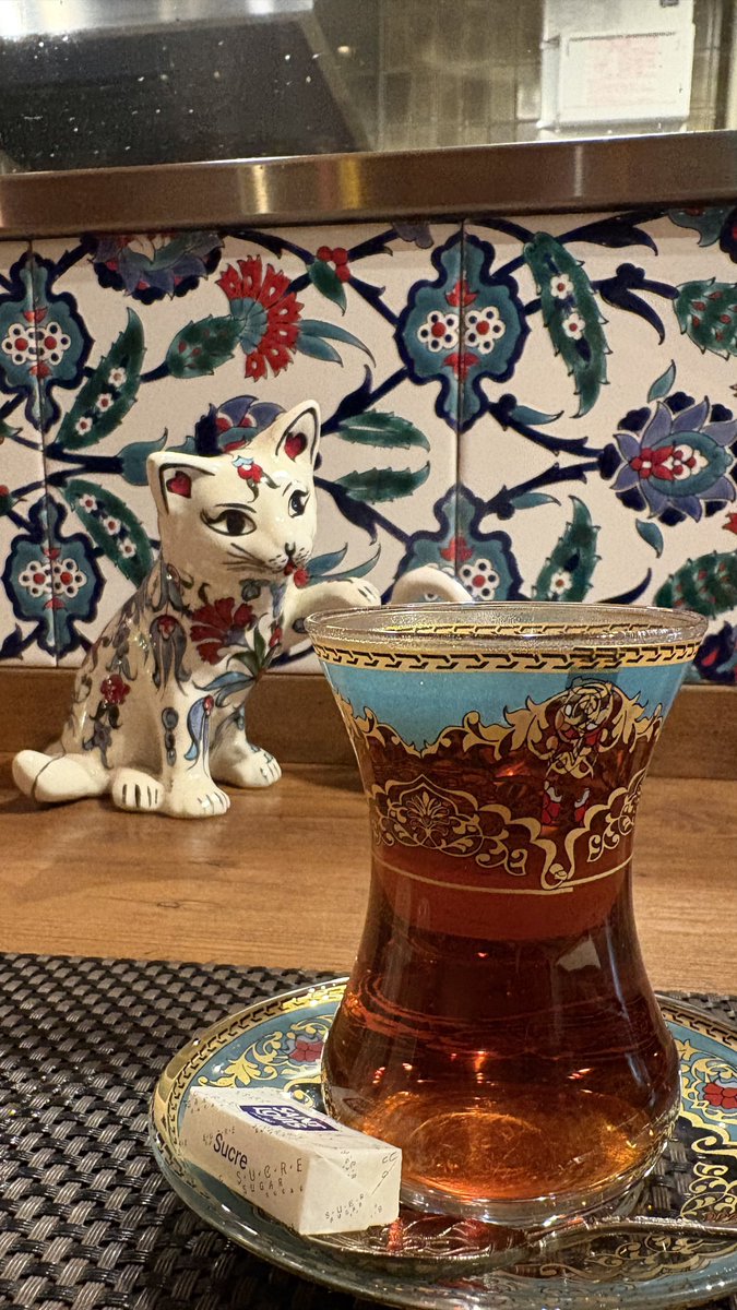 kid_bee's tweet photo. たっかいトルコ料理食べた！
アイラン（甘みのついてないヨーグルトドリンク）が選べるトルコ料理店嬉しい。
𝑷𝑬𝑹𝑭𝑬𝑪𝑻 Chai 𝑻𝑰𝑴𝑬 https://t.co/WxJ0dO795r
