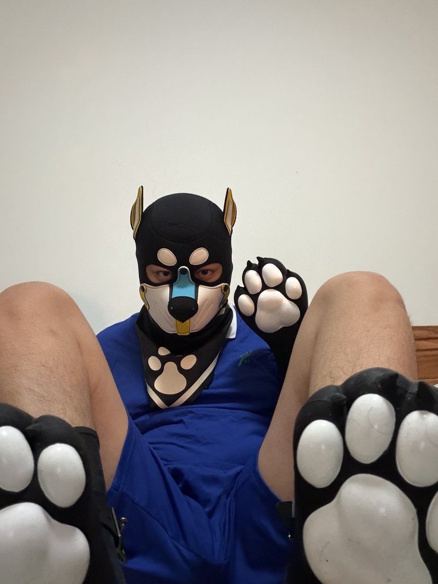 sail_2002's tweet photo. 狗爪和狗jio都到了好久了 自己穿不全 找不到约玩 555 https://t.co/ZTEG6eGo6c