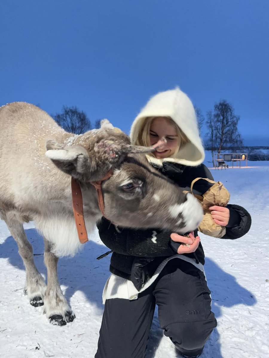 timothymar75cz's tweet photo. Man får inte bli så här glad av att mata renar helt enkelt. https://t.co/sEZ0incEfr