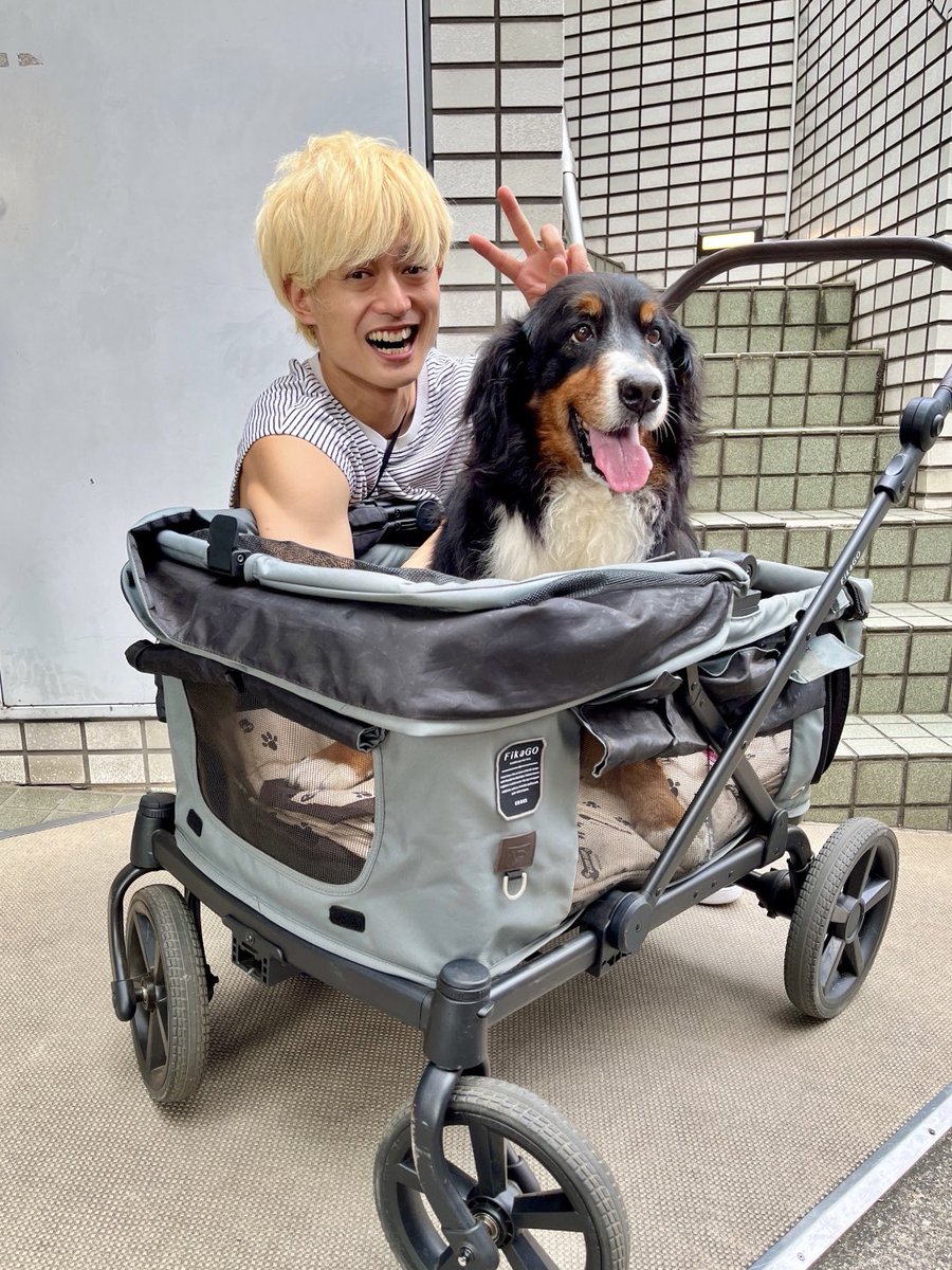 abcz_official's tweet photo. ルンルン！
これからもたくさん思い出つくろうね✨
塚ちゃん
#坂上どうぶつ王国 https://t.co/zpYhNR9kwG
