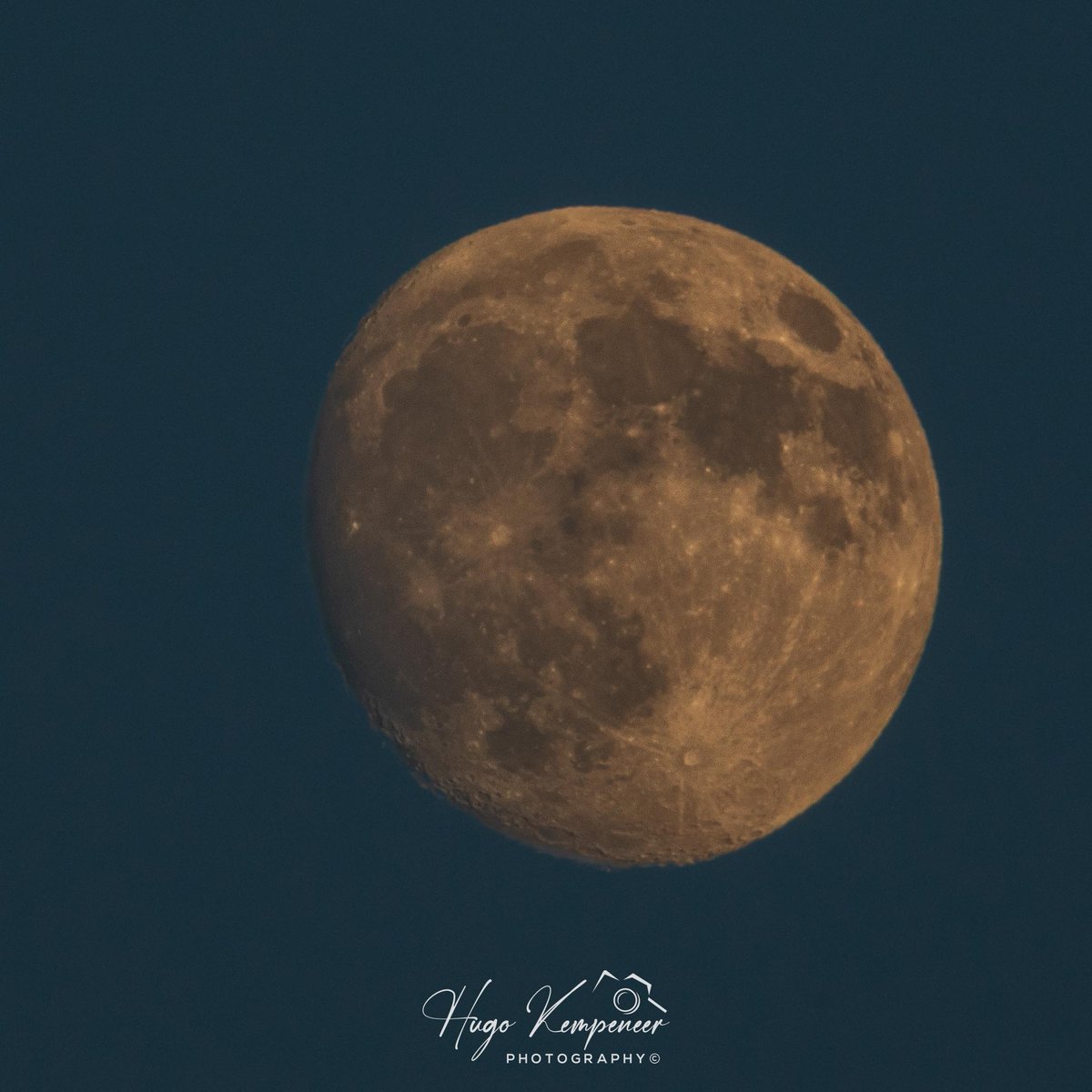 kyotodreamtrips's tweet photo. HARVEST MOON 2026 SEPTEMBER
I caught the September Harvest Moon at 93.9% waxing gibbous from my wooden deck—just a lovely sight at 5:48 p.m. on the 24th!
#kyotanabe #japan #宵月 #eveningmoon #春の月 #waxinggibbous #moonphotography #waninggibbousmoon #harvestmoon https://t.co/YiTRFDtvZ1