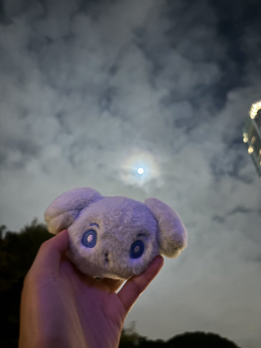 MippiJo's tweet photo. 十五夜なので…🌕
なんか2枚目ジワる😂笑 https://t.co/jhC8gjNDjr