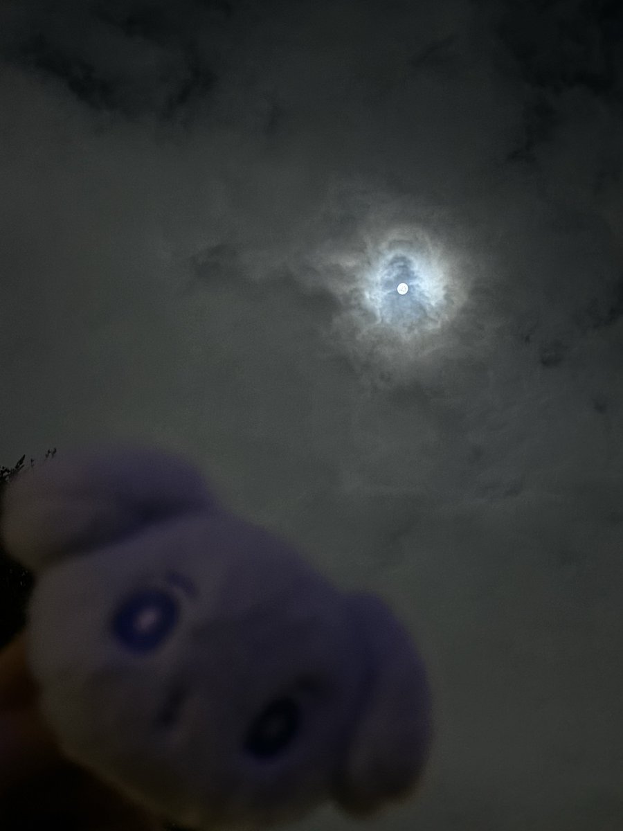 MippiJo's tweet photo. 十五夜なので…🌕
なんか2枚目ジワる😂笑 https://t.co/jhC8gjNDjr