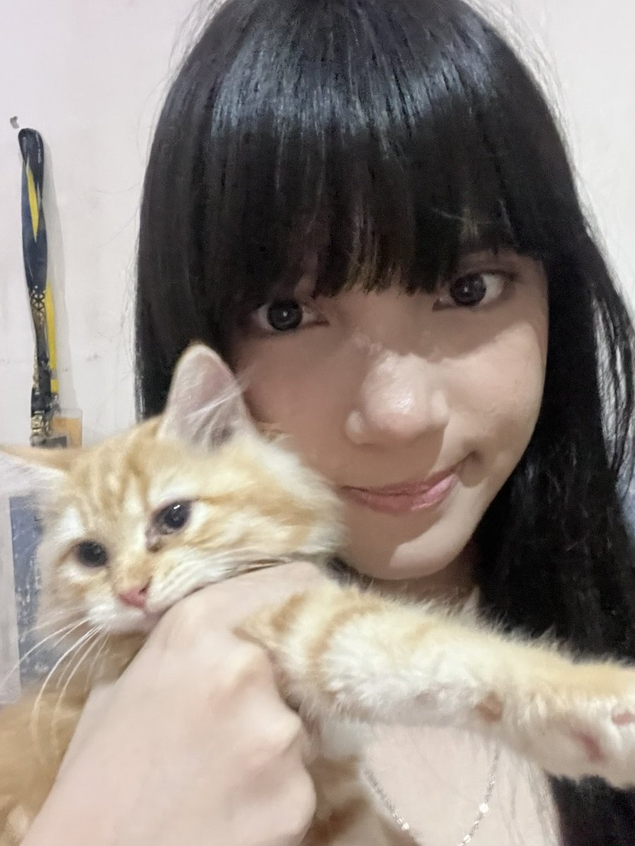 A_VirgiJKT48's tweet photo. makacih livenyah https://t.co/0m2tnMcehj