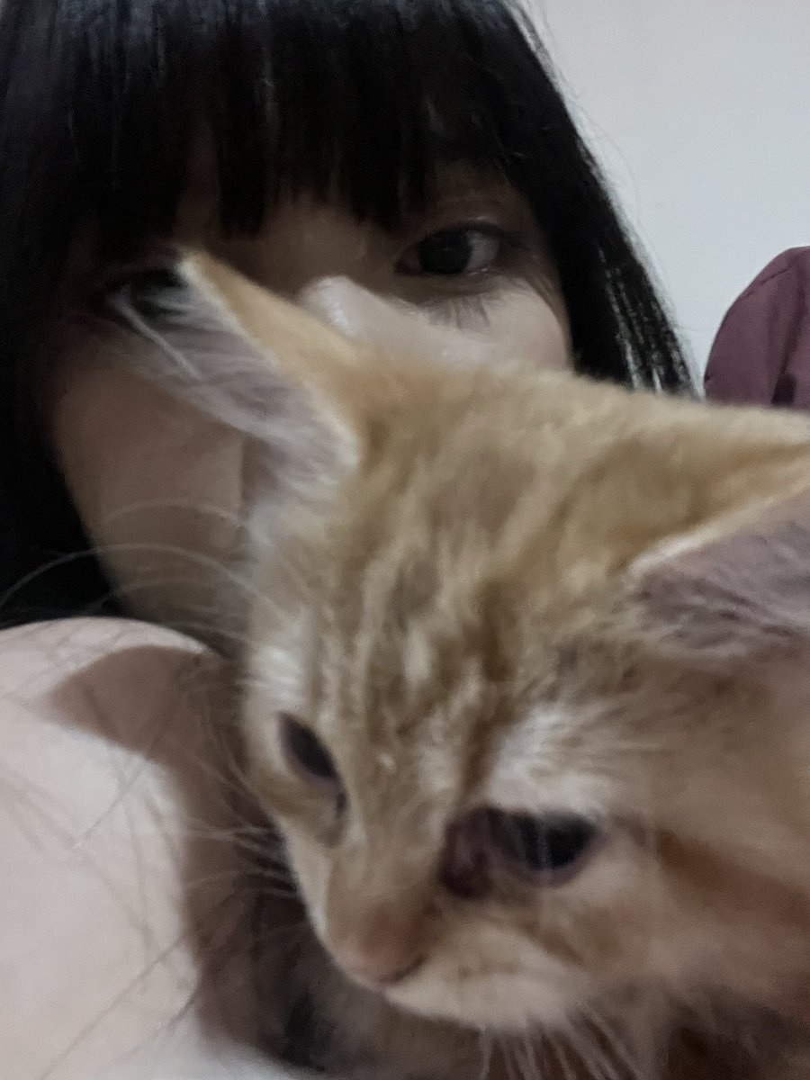 A_VirgiJKT48's tweet photo. makacih livenyah https://t.co/0m2tnMcehj