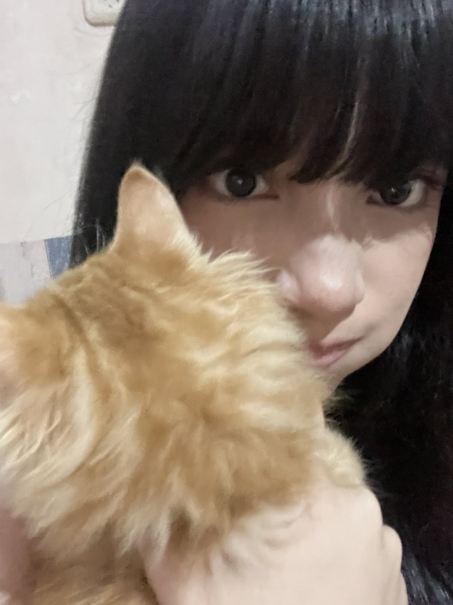 A_VirgiJKT48's tweet photo. makacih livenyah https://t.co/0m2tnMcehj