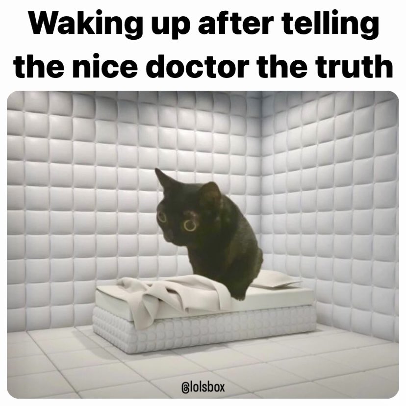 lolsbox's tweet photo. #lolsbox #cat #funny #funnycats #cutecat https://t.co/x31KvUjbPV