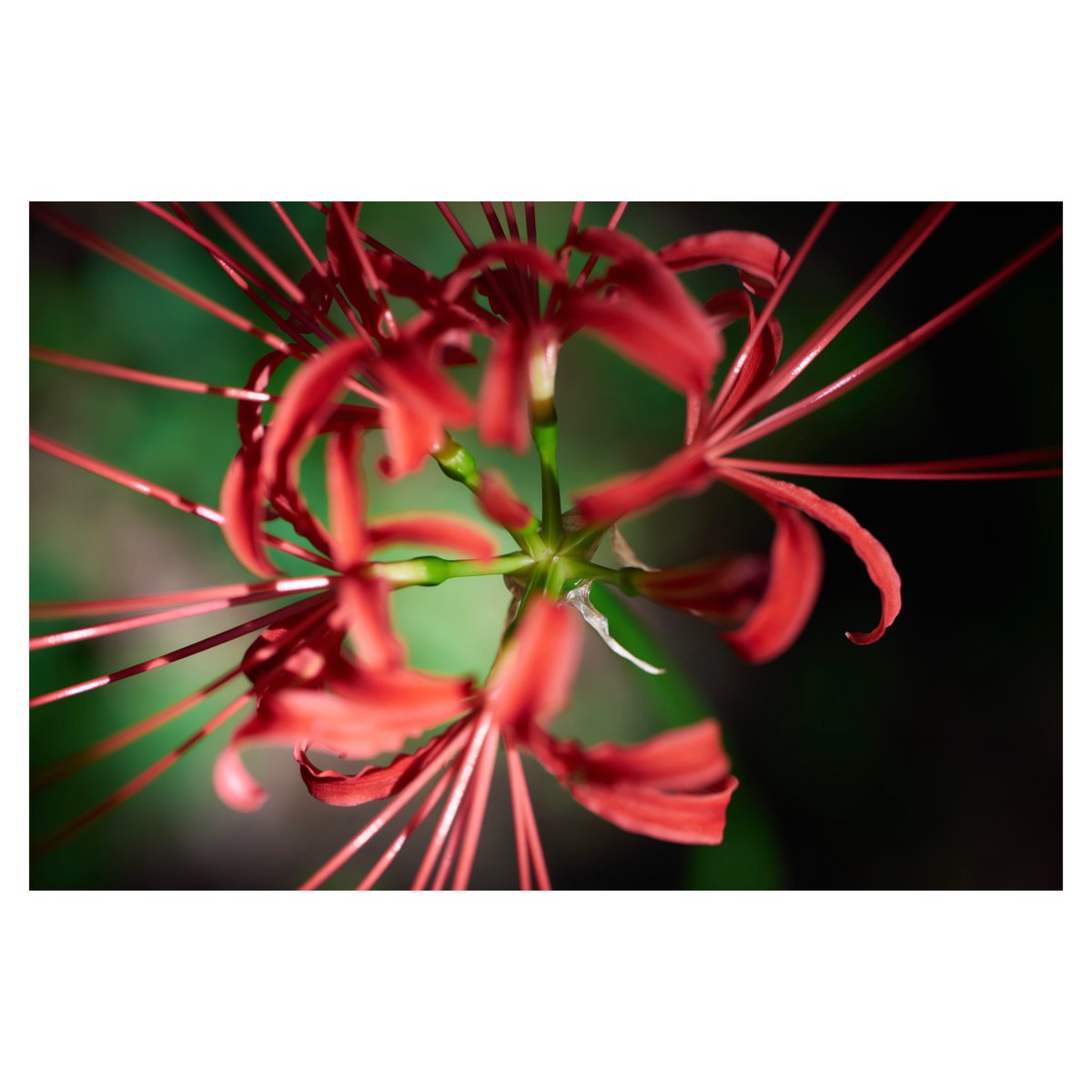 PhotophotoK's tweet photo. https://t.co/YQVbUcrsxT