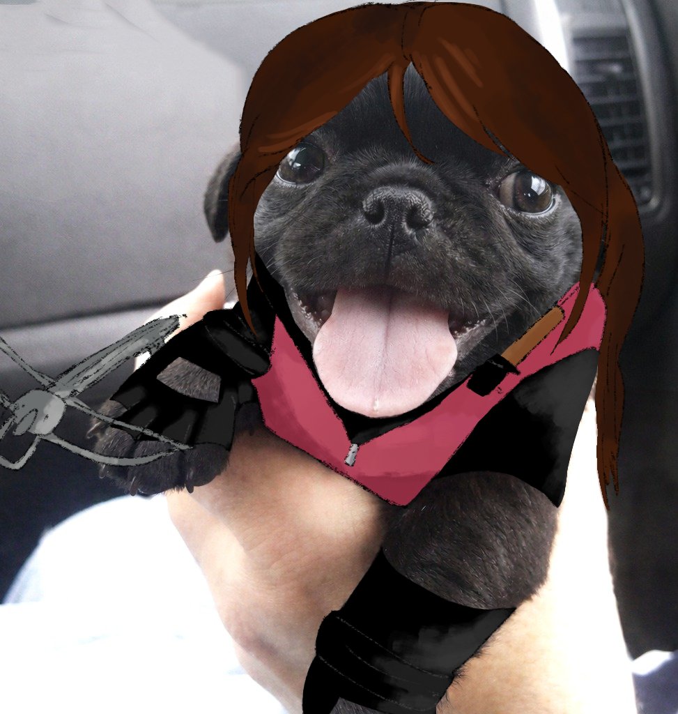 PabloGuerrak's tweet photo. cachorrinho claire redfield https://t.co/fJ8JVi3kWY