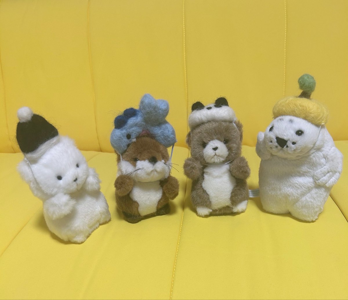 waccha_309's tweet photo. あざらしのわっちゃ被り物シリーズ🦭🐟🐬🐼🍊🧸🎅 https://t.co/K9W6ByZ73p
