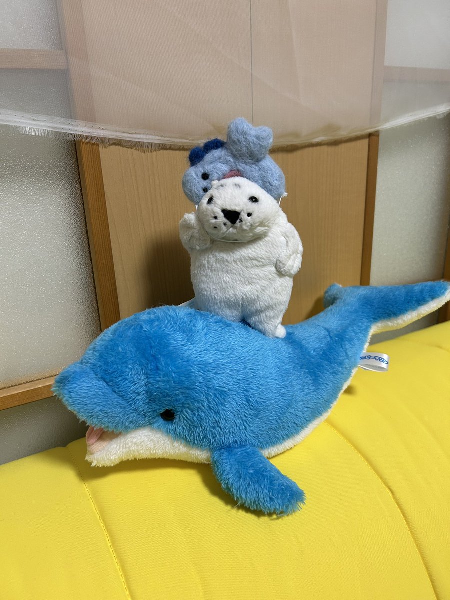 waccha_309's tweet photo. あざらしのわっちゃ被り物シリーズ🦭🐟🐬🐼🍊🧸🎅 https://t.co/K9W6ByZ73p