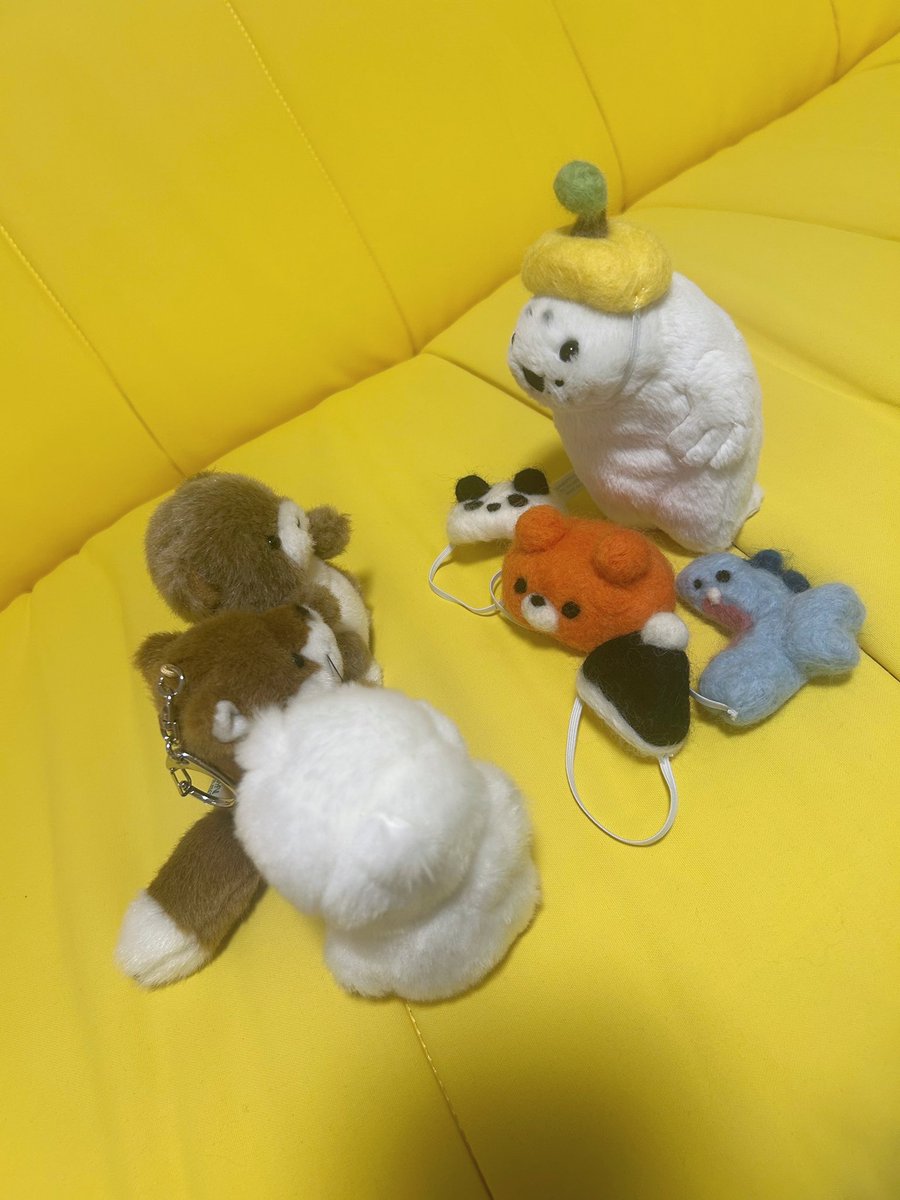 waccha_309's tweet photo. あざらしのわっちゃ被り物シリーズ🦭🐟🐬🐼🍊🧸🎅 https://t.co/K9W6ByZ73p