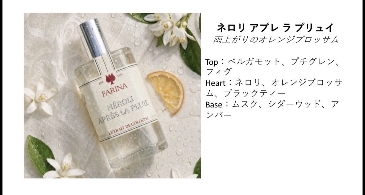 houonsyainc's tweet photo. 雨上がりのオレンジブロッサム
ヴェルサイユ宮殿に何世紀にもわたって
咲くオランジェリーから
インスパイヤされた香り🍊

ネロリとプチグレンの
青いみずみずしさ
ブラックティーのほろ苦さで
雨上がりの朝を迎える

青々としたネロリに非常に強い
生命力を感じる香り🧡 https://t.co/ICnVzL3uJM