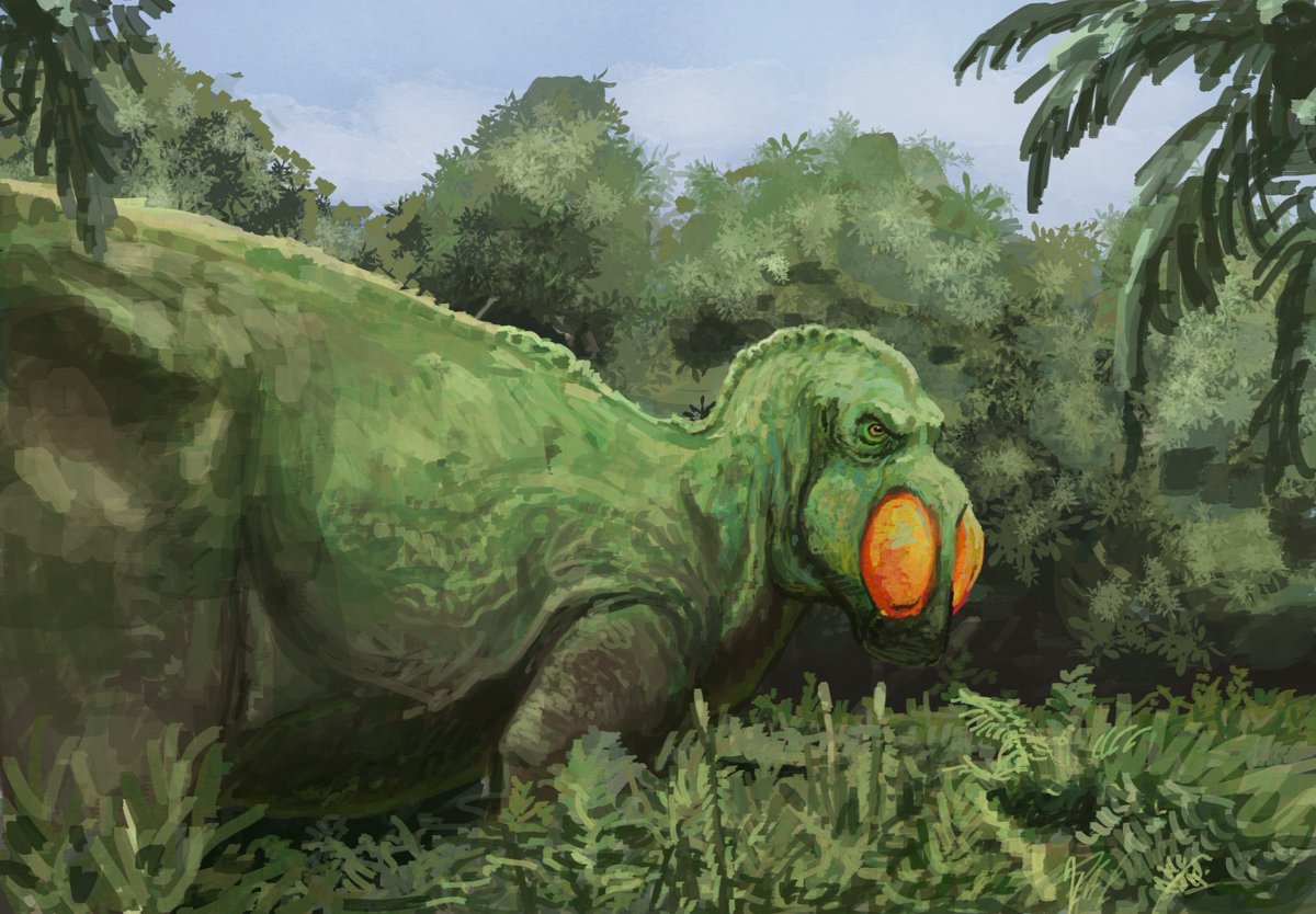 Rodent357021's tweet photo. Very special #flocking this week- we drew hadrosaurus to raise awareness for the petition against the  closure of the Academy of Natural Sciences! Here’s the website all about it https://t.co/YDhUbV3QxJ https://t.co/Zzkyu88QtQ
