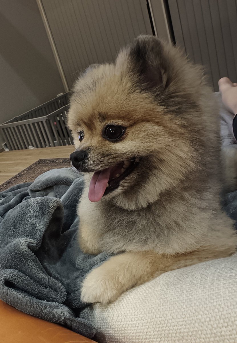 OLmaruco's tweet photo. 明日からの2ヶ月、仕事忙しいのが確定

目標、早寝早起き、
仕事を家に持ち帰らないで会社でやって帰る、会社で忙しそうにしない、整理整頓。

いつも出勤から12時頃まで全力疾走なので
余裕持てるように早出できるとなお良し◎ https://t.co/DWYAUGiriK