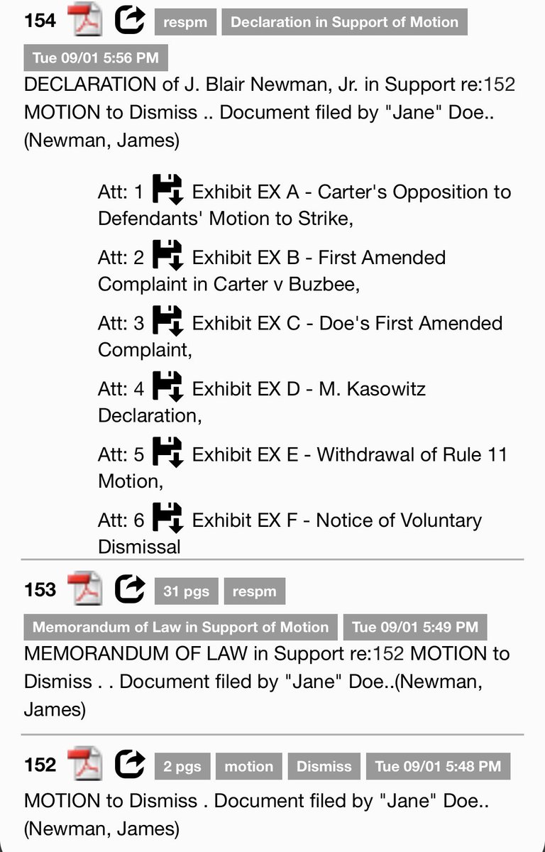ComeWithFacts's tweet photo. 🚨 This was “Jane Doe” and her attorney, J. Blair Newman Jr., on September 1, filing a motion to dismiss Jay Z’s case against her, complete with a memorandum, declaration and exhibits.

Fast forward to September 24, and now there is a new sworn 12 page declaration from Jane Doe, filed just days before Jay Z’s side was expected to respond to the motion she filed earlier this month.

That is a major shift in a very short amount of time.

I genuinely want to know what changed between September 1 and September 24.