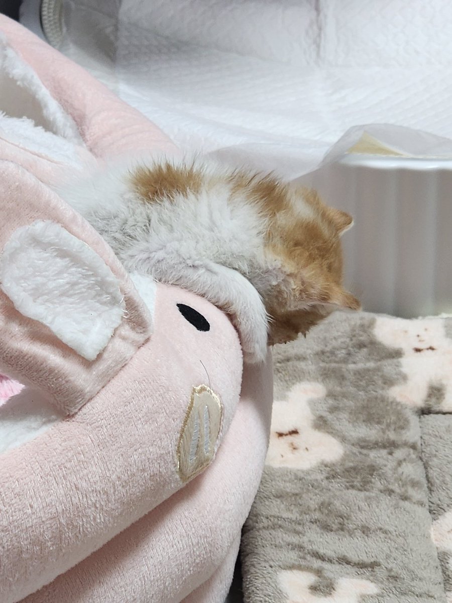 Ohmongee's tweet photo. 남찍사                                   셀카 https://t.co/X3IhzBQU5f