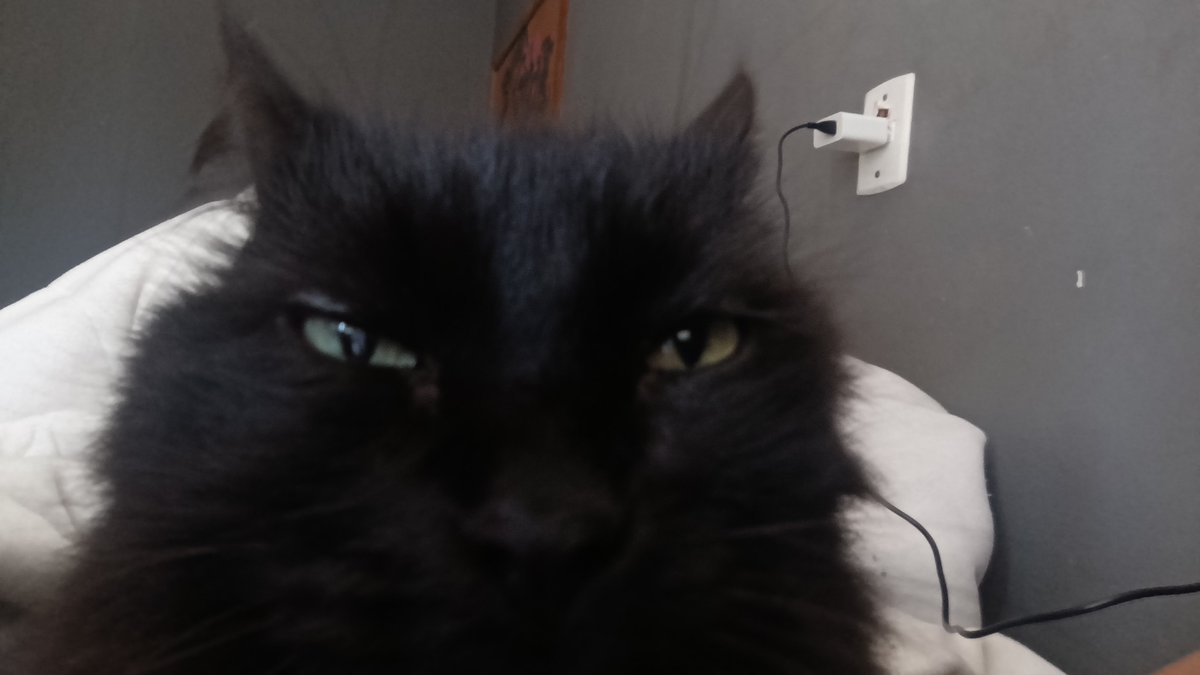 AnarchyToky0's tweet photo. bom dia acordei com essa visão https://t.co/OoqYidLJ95