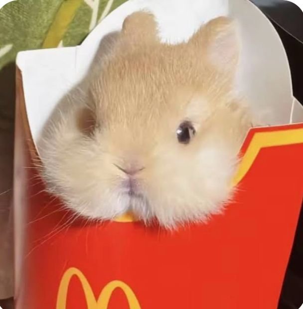 Woon_sagi's tweet photo. 🍟 https://t.co/bb5i2xjy9P