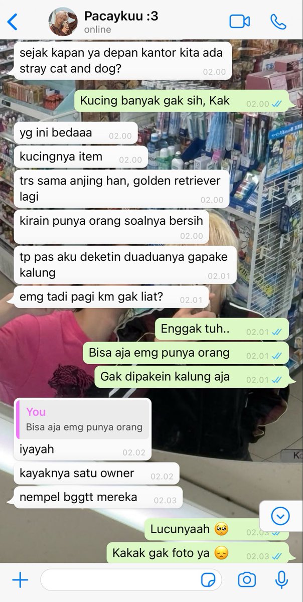 luneriah's tweet photo. Bukor karjimut kebab generation Ihseong yang suddenly on a random friday making a big decision to adopt hybrid Meongsan. In this prabowonomic, living together buat ngepress budget malah kedatengan guguk dan meng yang banyak tingkah.

An Ihseong and Meongsan alternate universe. https://t.co/fMioVvneZE
