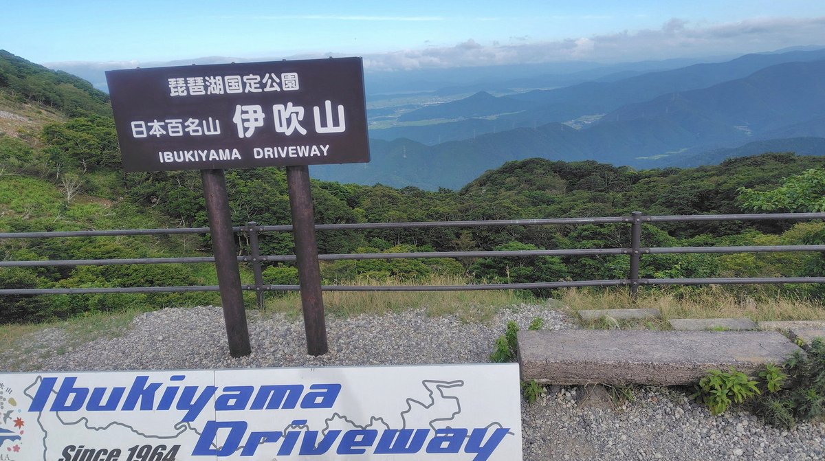 MohamdEbrahim6's tweet photo. 3歳の息子にどれがいいか聞いたら…紫のうさぎを選んだので、Bに投票した https://t.co/LiaZ2XFmi9
