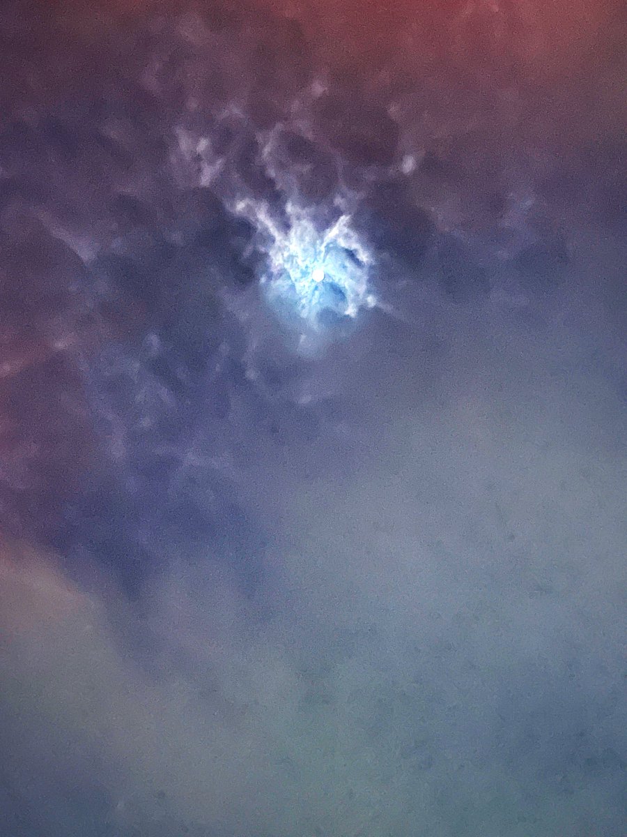 dadachakon's tweet photo. 中秋の名月

この後、

僕がつくってきた

月の曲達をツイキャスで

歌います、ね🌕🐕 ͗ ͗ https://t.co/QEqNSEwTow