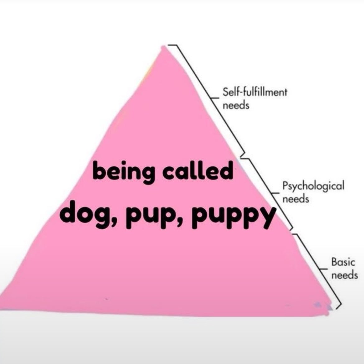 awfvllove's tweet photo. #puppygirl #cute #woof https://t.co/wXIAuh8hmd