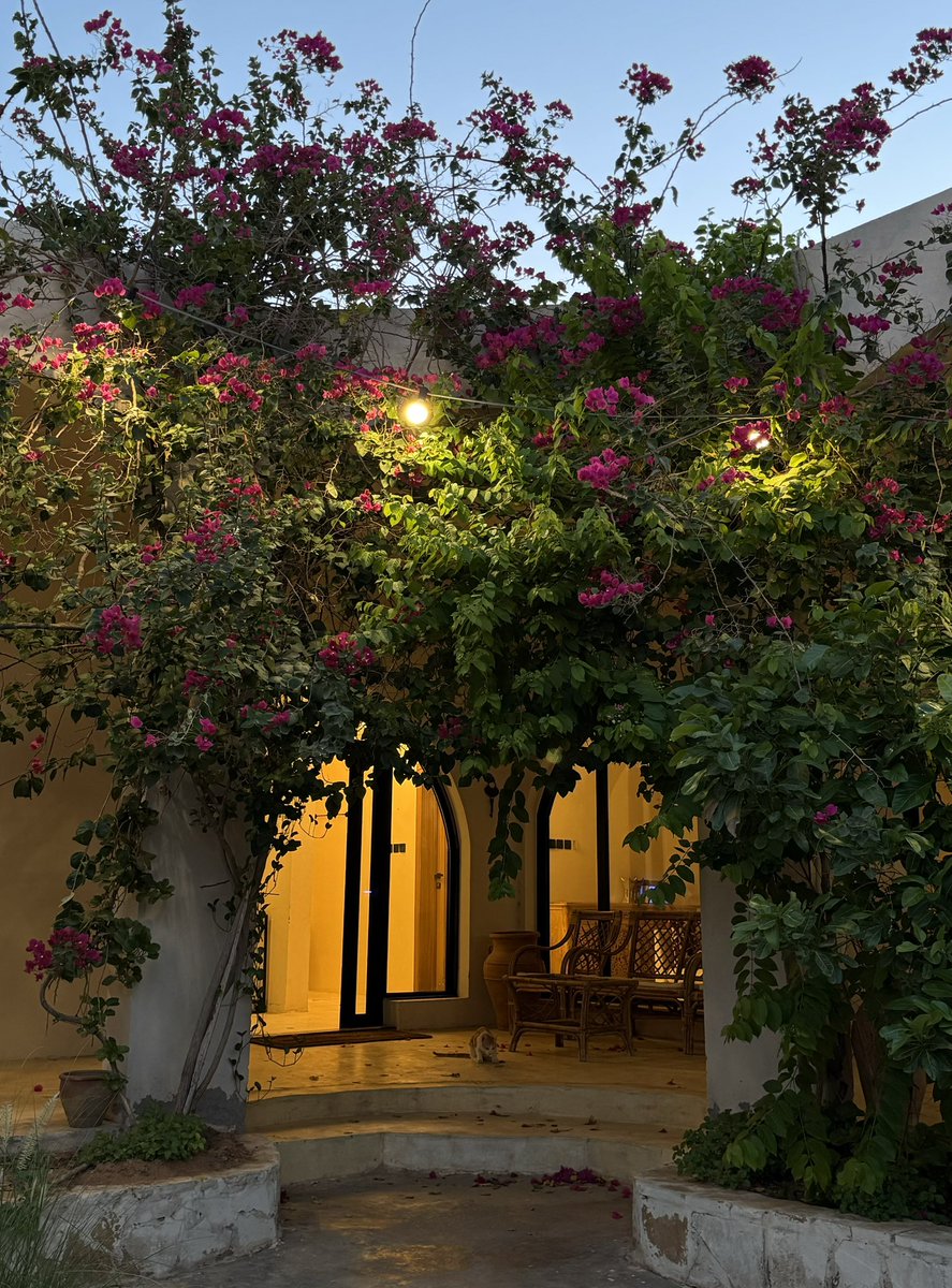 ____fooz's tweet photo. مكان يلتمس الشاعريـة بك https://t.co/d0AAYNaVR2