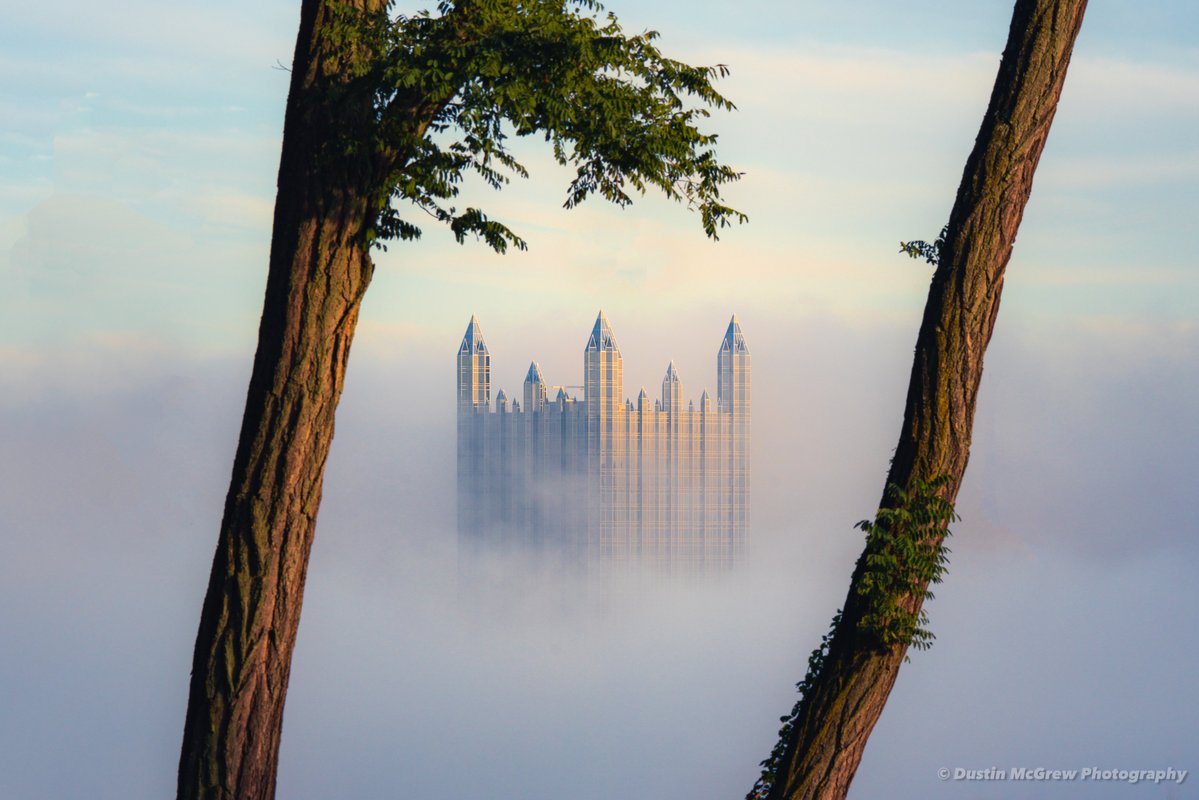 dmcgrew's tweet photo. PPG Place is framed between two trees on a foggy morning in Pittsburgh. #pittsburgh https://t.co/5l0A6BH0ZP