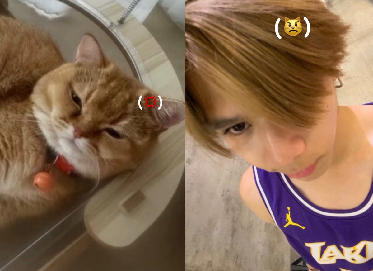 lvcemini's tweet photo. (liger &amp; tui) : another cute duo 😼🤏🏻

(#TuiChayatorn ) https://t.co/epxOzUcl0D