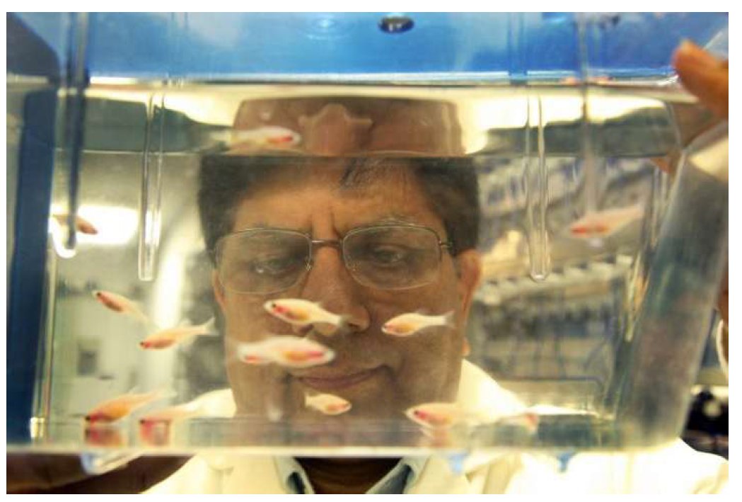Augustaetc's tweet photo. @AUG_University @GACancerCenter @DrRajGCC @Augustaetc @MCG_AUG @AUG_JAGWIRE 
We are returning to our New Home in Augusta, GA
Dr. Rajpurohit Zebrafish Lab
Augusta Experimental Therapeutics Center (AETC)
https://t.co/z3ncQO7a20
Bridging experimental therapeutics precision medicine https://t.co/PAlvSlXZhQ