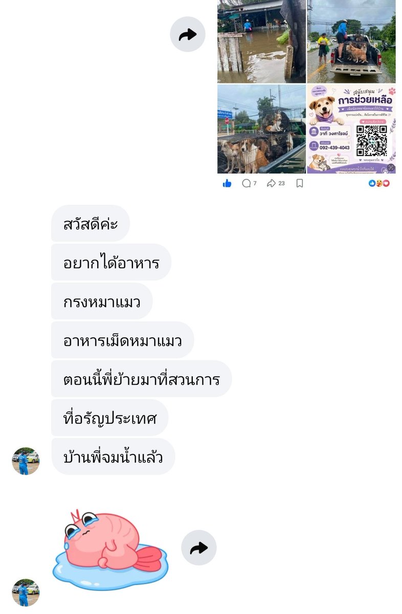 Chocobuttxr0's tweet photo. 📌ตอนนี้ บ้านหมา–แมว ที่อำเภอวัฒนานคร จังหวัดสระแก้ว น้ำท่วมหนักมาก 🌊
น้องหมา น้องแมวหลายชีวิตได้รับผลกระทบ และยังต้องมีอาหารกับน้ำสะอาดสำหรับประทังชีวิตในทุกวัน

ฝากพี่ ๆ ช่วยกันคนละเล็กละน้อย เพื่อให้น้อง ๆ ผ่านวิกฤตน้ำท่วมครั้งนี้ไปด้วยกันนะคะ 🙏🏻
#น้ําท่วม #ฝนตกหนัก https://t.co/elpESis9X7